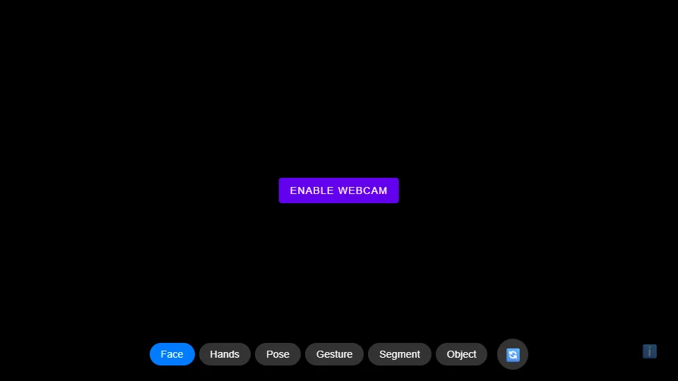 MediaPipe Demo preview